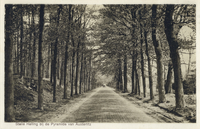 7167 Gezicht in de Woudenbergseweg bij Austerlitz uit het westen.N.B. Dit gedeelte van Austerlitz maakt deel uit van de ...